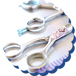 宮崎県延岡市の美容室ならSky Land(スカイランド)へ