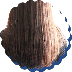 宮崎県延岡市の美容室ならSky Land(スカイランド)へ